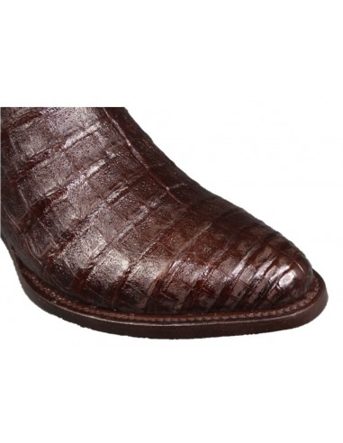 MEMPHIS CAFE CROCODILE BELLY (ventre) HOMME GOWEST SANTIAG