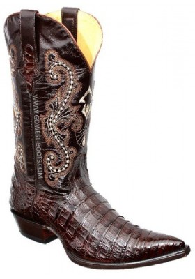 CHIHUAHUA COCODRILO VIENTRE (vientre) CAFE HOMME GOWEST SANTIAG