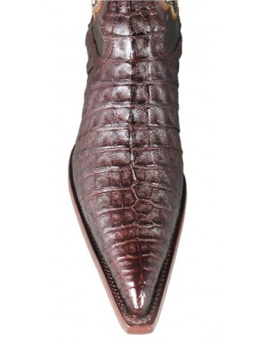 CHIHUAHUA BROWN CROCODILE BELLY