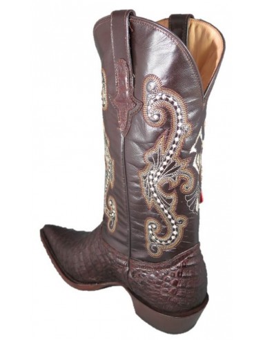 PANCIA DEL COCCODRILLO CHIHUAHUA (pancia) CAFE HOMME GOWEST SANTIAG