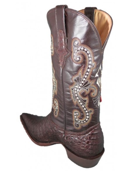 CHIHUAHUA BROWN CROCODILE BELLY