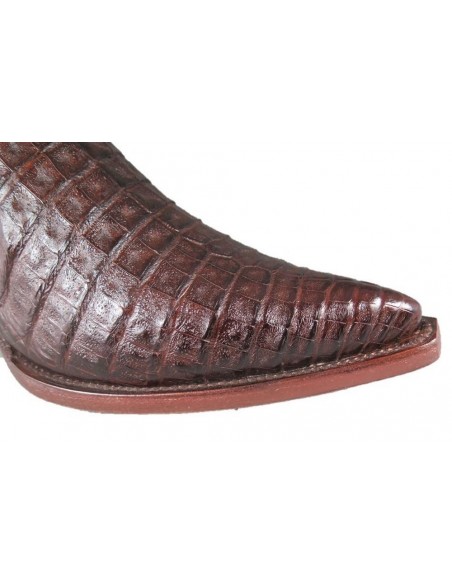 CHIHUAHUA BROWN CROCODILE BELLY