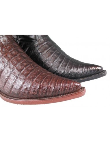 CHIHUAHUA BROWN CROCODILE BELLY