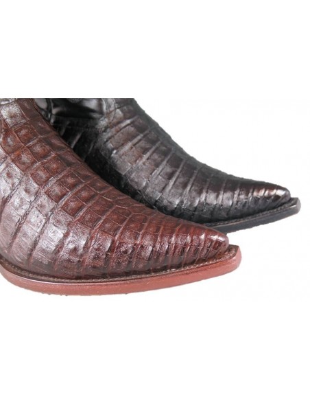 CHIHUAHUA BROWN CROCODILE BELLY