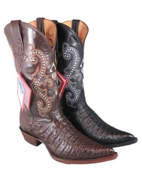 PANCIA DEL COCCODRILLO CHIHUAHUA (pancia) CAFE HOMME GOWEST SANTIAG