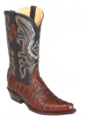 CHIHUAHUA CROCODILE QUEUE NOIRE HOMME GOWEST SANTIAG