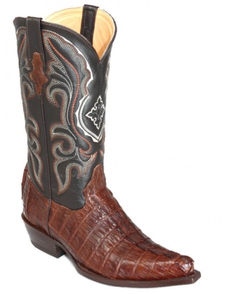 CHIHUAHUA BROWN CROCODILE TAIL