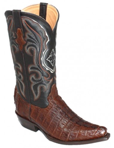 CHIHUAHUA CROCODILE QUEUE NOIRE HOMME GOWEST SANTIAG