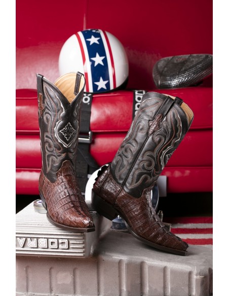 CHIHUAHUA CROCODILE QUEUE CAFE HOMME GOWEST SANTIAG