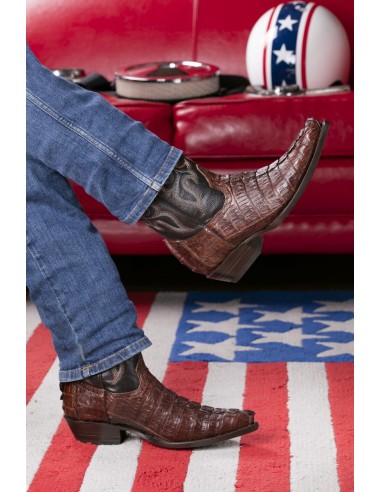 CHIHUAHUA CROCODILE QUEUE CAFE HOMME GOWEST SANTIAG