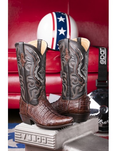 CHIHUAHUA CROCODILE QUEUE CAFE HOMME GOWEST SANTIAG