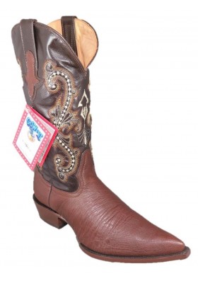 CHIHUAHUA Struzzo PANCIA (pancia) CAFE HOMME GOWEST SANTIAG