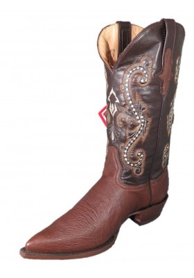 CHIHUAHUA Struzzo PANCIA (pancia) CAFE HOMME GOWEST SANTIAG 2