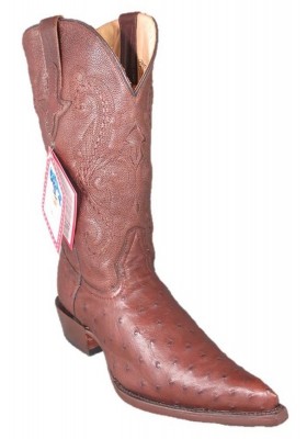 CHIHUAHUA CROCODILE BELLY (ventre) CAFE HOMME GOWEST SANTIAG