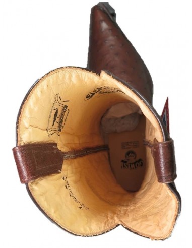 CHIHUAHUA CROCODILE BELLY (ventre) CAFE HOMME GOWEST SANTIAG