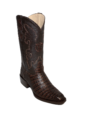 GENERAL LAFAYETTE CAIMAN BROWN