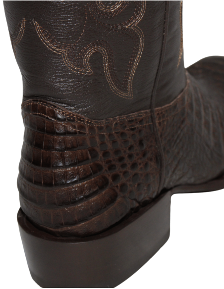 GENERAL LAFAYETTE CAIMAN BROWN