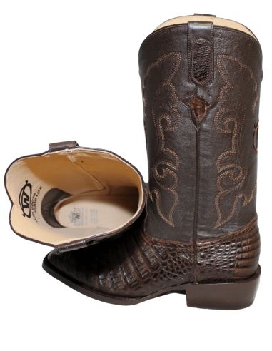 GENERAL LAFAYETTE CAIMAN BROWN