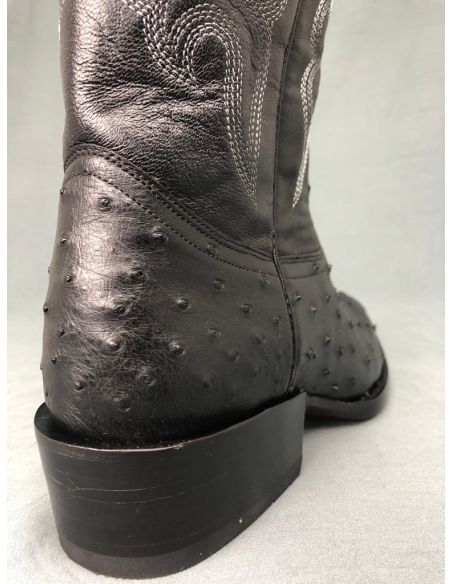 GEN.LAFAYETTE AUTRUCHE NOIR HOMME GOWEST