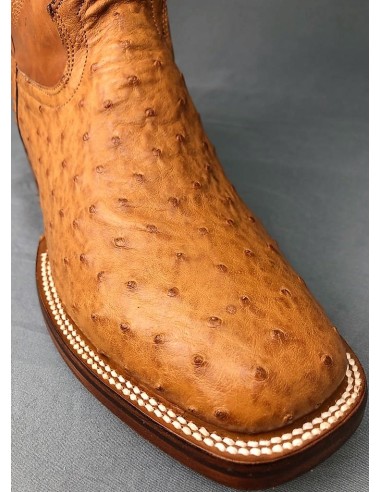 GENERAL CUSTER AVESTRUZ MIEL RODEO