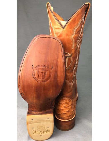 GENERAL CUSTER AVESTRUZ MIEL RODEO