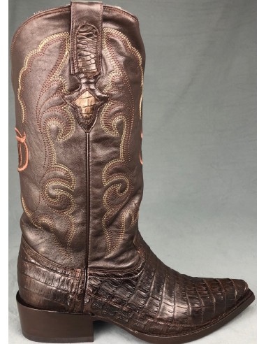 CHIHUAHUA CROCODILE BELLY (ventre) CAFE HOMME...