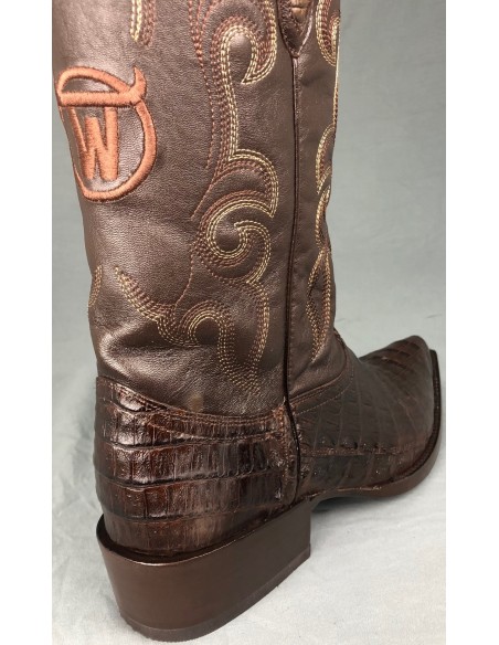 GEN. SANTA ANNA CAIMANO PANCIA (pancia) CAFE HOMME GOWEST SANTIAG