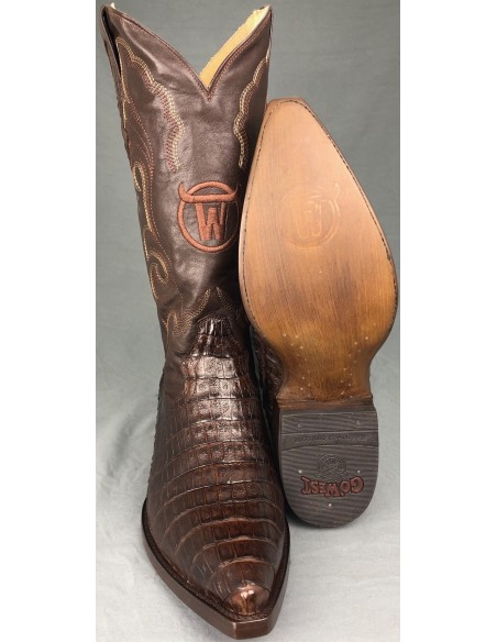 GEN. SANTA ANNA CAIMANO PANCIA (pancia) CAFE HOMME GOWEST SANTIAG