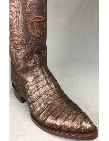 GEN.YEAGER CAIMAN BELLY (VENTRE) CAFE BOTAS...