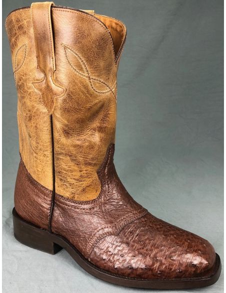 MAJOR CUSTER AUTRUCHE ALAZAN/CAFE HOMME GOWEST