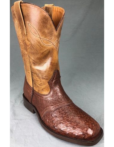 MAJOR CUSTER AUTRUCHE ALAZAN/CAFE HOMME GOWEST