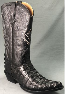 CHIHUAHUA COCODRILO COLA NEGRA HOMBRE GOWEST SANTIAG 2