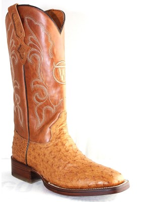 GENERAL CUSTER AVESTRUZ MIEL RODEO