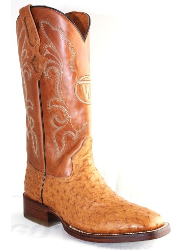 GENERAL CUSTER AVESTRUZ MIEL RODEO