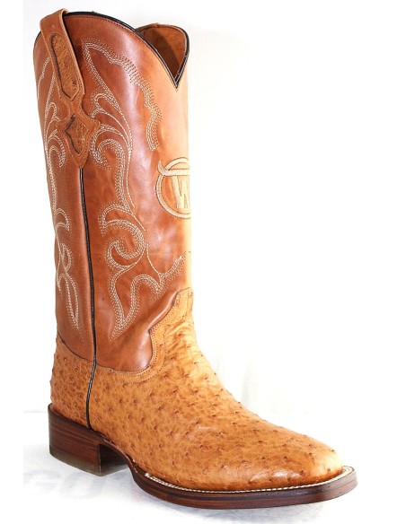 GENERAL CUSTER AVESTRUZ MIEL RODEO