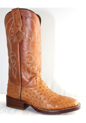 GENERAL CUSTER AVESTRUZ MIEL RODEO 2