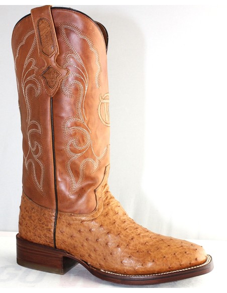 GENERAL CUSTER AVESTRUZ MIEL RODEO