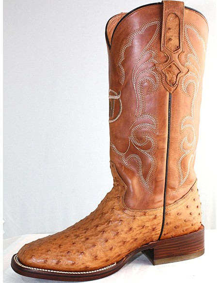 GENERAL CUSTER RODEO STRUZZO ARACHIDI UOMINI GOWEST