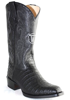 GENERAL LAFAYETTE CAIMAN NOIR BELLY GOWEST