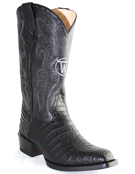 GENERAL LAFAYETTE CAIMAN NOIR BELLY GOWEST