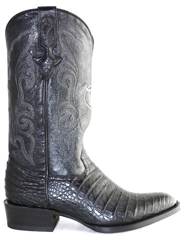 GENERAL LAFAYETTE CAIMAN NOIR BELLY GOWEST