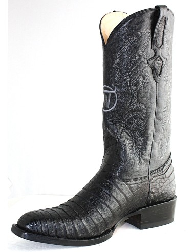 GENERAL LAFAYETTE CAIMAN NOIR BELLY GOWEST