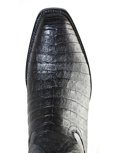 GENERAL LAFAYETTE CAIMAN NOIR BELLY GOWEST