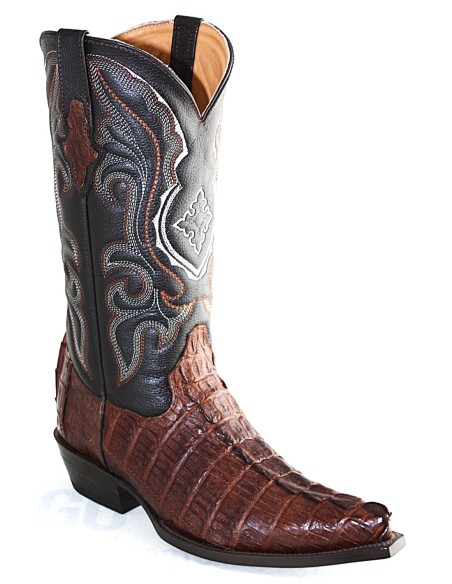 CHIHUAHUA CROCODILE COLA NEGRA GOWEST SANTIAG