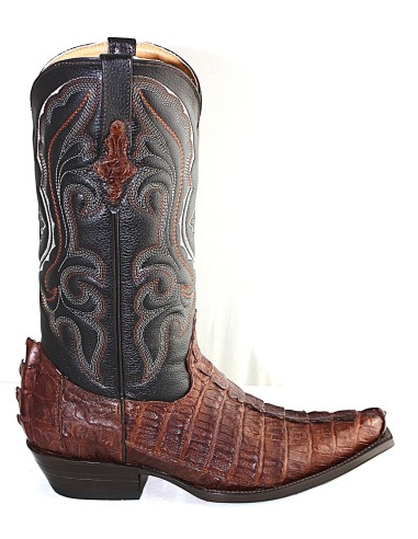 CHIHUAHUA CROCODILE QUEUE CAFE HOMME GOWEST...