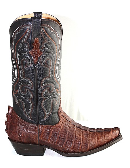 CHIHUAHUA CROCODILE COLA NEGRA GOWEST SANTIAG