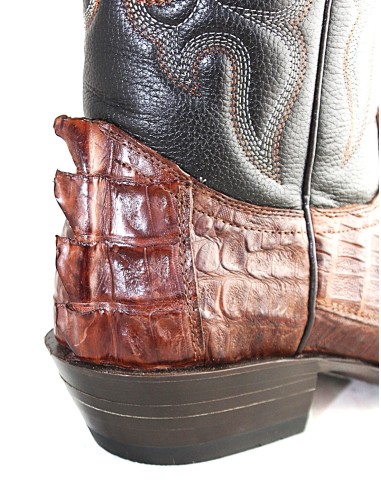 CHIHUAHUA BROWN CROCODILE TAIL