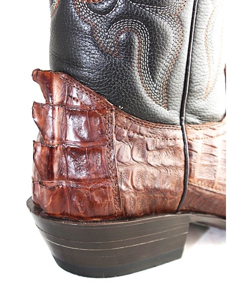 CHIHUAHUA BROWN CROCODILE TAIL