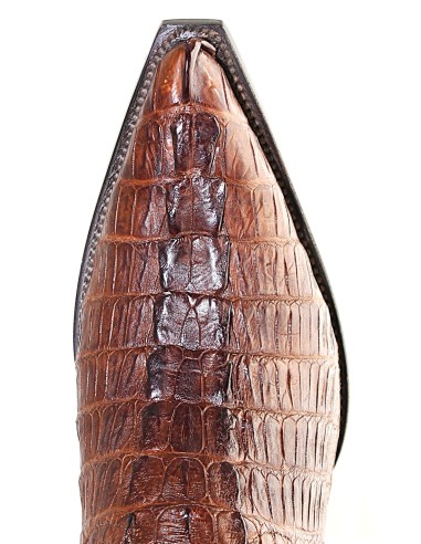 CHIHUAHUA CROCODILE QUEUE CAFE HOMME GOWEST...