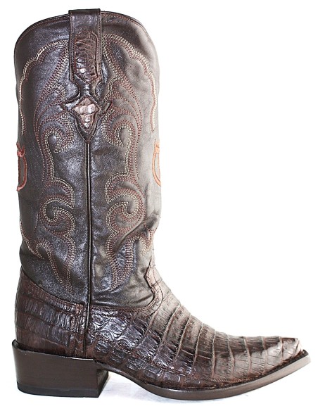 GEN. SANTA ANNA CAIMANO PANCIA (pancia) CAFE HOMME GOWEST SANTIAG